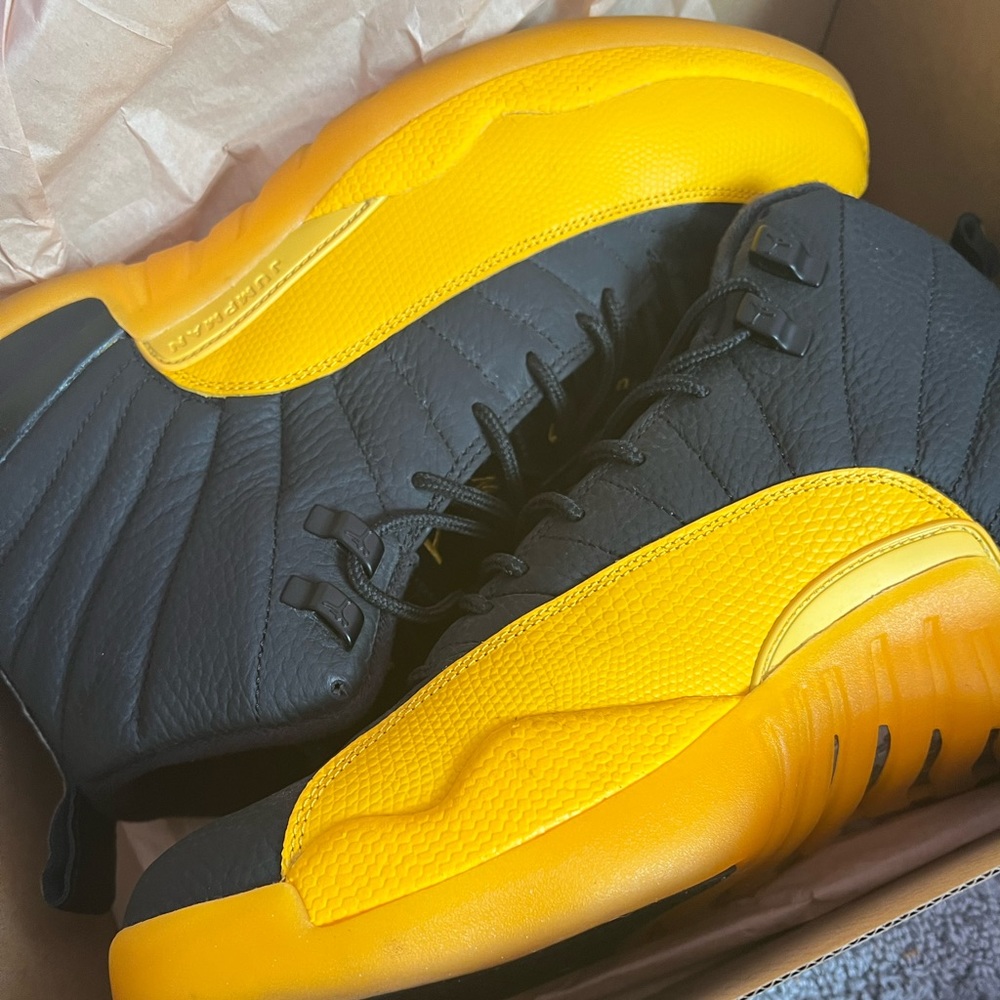 Air Jordon 12 Retro